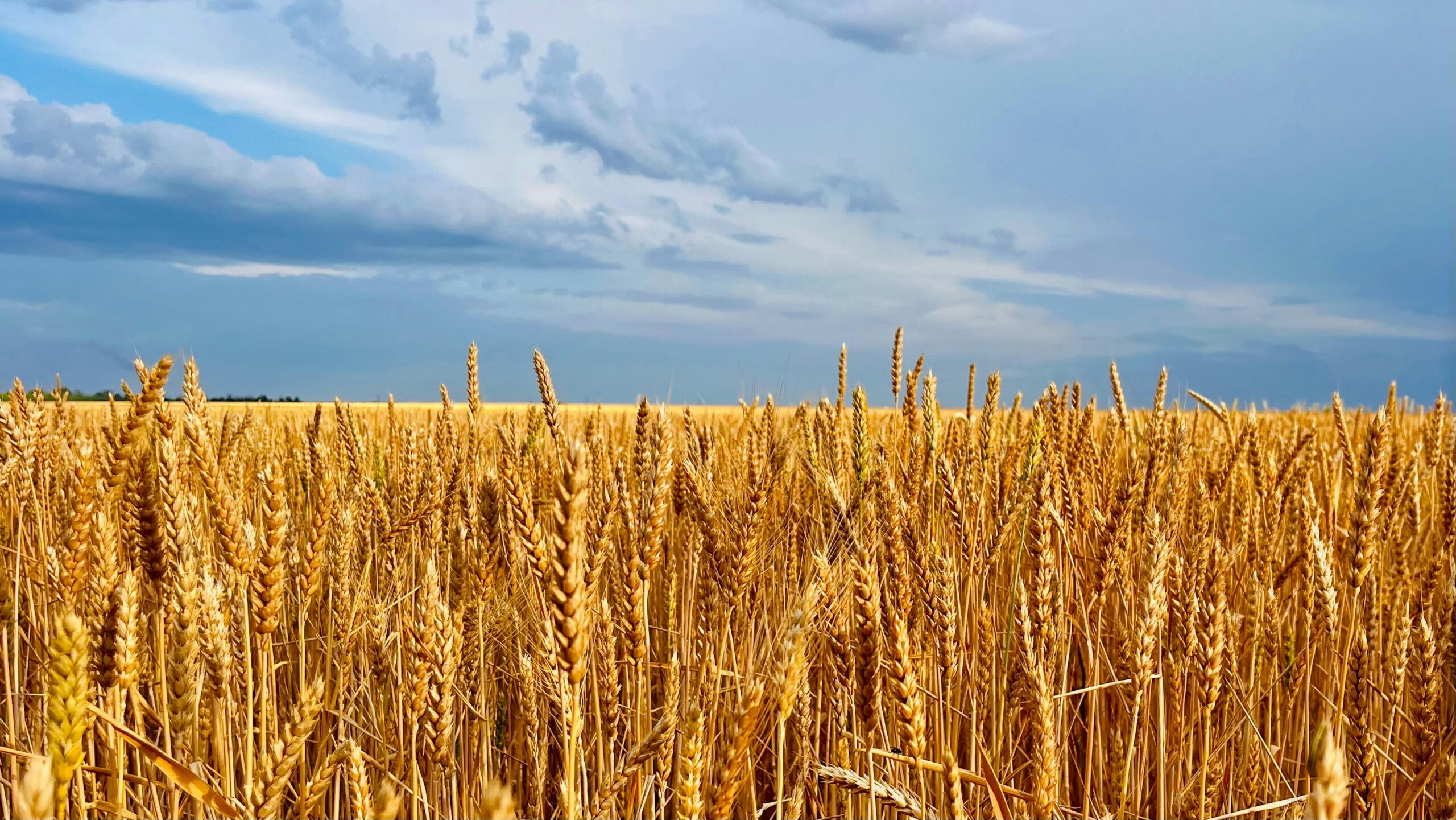 The Majestic Beauty of Elul – The Holy Month of Teshuva and Fresh Starts Leading into Rosh Hashanah